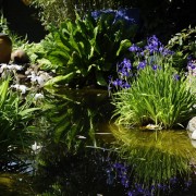 Kleiner Traumgarten mit Wasser