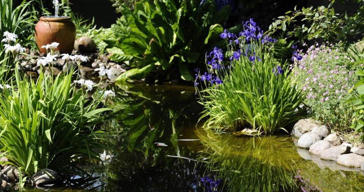 Kleiner Traumgarten mit Wasser