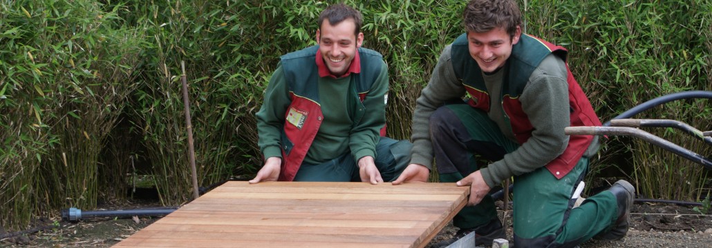 Traumgärten Bambusheckengarten