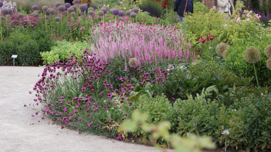 Blüten und Farbthemen › Zinsser Gartengestaltung