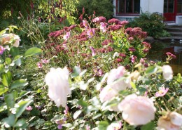 Pflanzen mit Motto Herbstliche Blüte und Laubfärbung