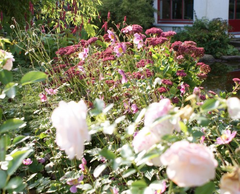 Pflanzen mit Motto Herbstliche Blüte und Laubfärbung