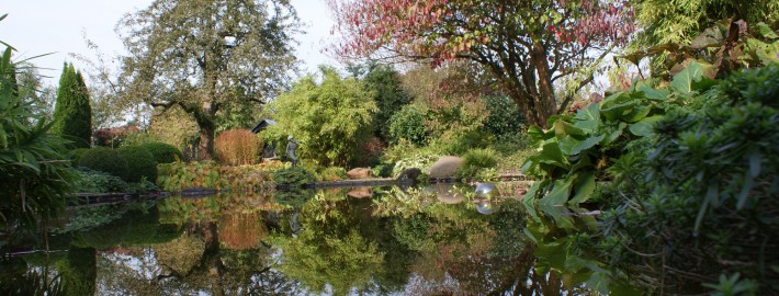 cottage-garden-herbst-23