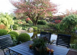 Pflanzen mit Motto Herbstliche Blüte und Laubfärbung