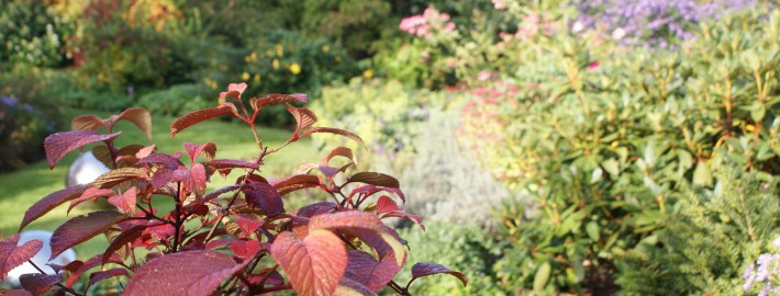 cottage-garden-herbst-6