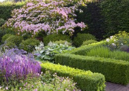 Gerade Hecken geben dem Garten Struktur