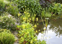 Gartenteich mit Uferzone, der Teichrand ist mit Steinen stabilisiert