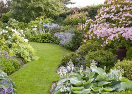 Geschwungener Rasenweg führt wie ein Hohlweg durch Beete und Garten