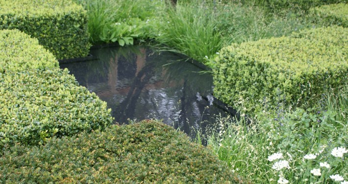 Wasserspiegelung, klares Wasser, Buchs- und Eibenwürfel