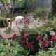 Exklusive Gartengestaltung für Uelzen, Lüneburg, Gifhorn, Celle und Muster