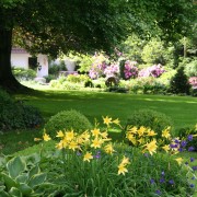 Schattengarten mit schattenverträglichen Stauden und Gehölzen