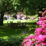 Sitzplatz im Schatten unter Bäumen und die Rhododendron und Azaleen blühen