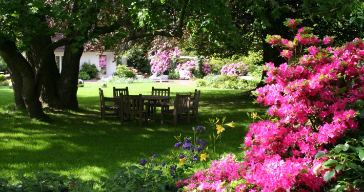 Sitzplatz im Schatten unter Bäumen und die Rhododendron und Azaleen blühen