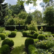 Buchsbaum im Bauerngarten, leider nicht mehr empfehlenswert
