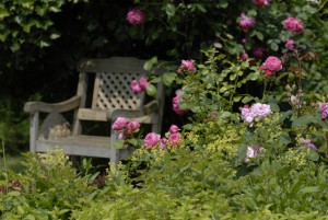 alte Rosen und schöne Möbel