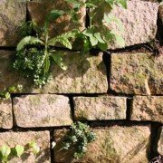 Naturstein-Trockenmauer