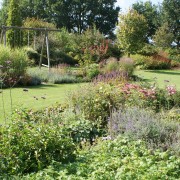 Herbstfärbung im Garten mit Stauden und Wasserspiel – Edelstahl-Wasserschale