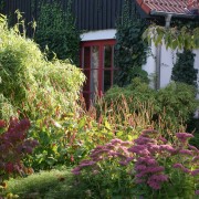 Herbstfärbung im Garten Cottage