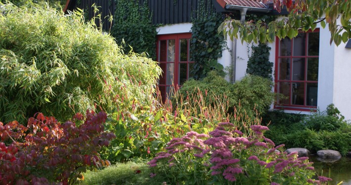 Herbstfärbung im Garten Cottage