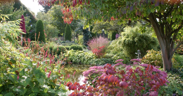 Der Herbstliche Garten ist mit der Laubfärbung und der späten Blüte ein farbenfrohes Abwinken des Gartenjahrs