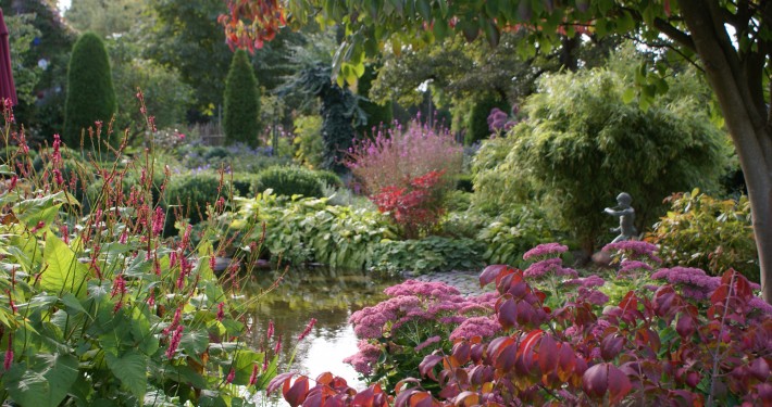 Herbstfärbung und späte Blüte