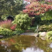 Herbstfärbung und späte Blüte