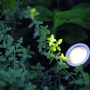 Traumgärten Illumination - Licht im Garten