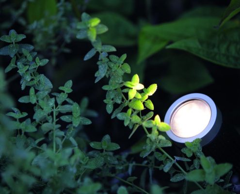 Traumgärten Illumination - Licht im Garten
