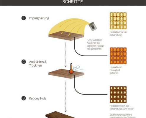 Moderne Materialien Kebony-Holzterrasse