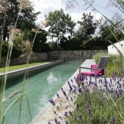 langes schmales Wasserbecken als Schwimming Pool oder Naturpool