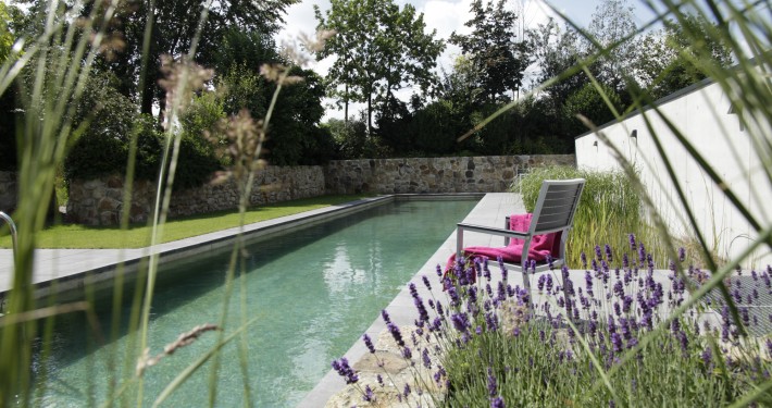 Wasserspiele & Teiche › Zinsser Gartengestaltung, Schwimmteiche und