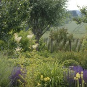 Gestaltungstrends Natur im Garten