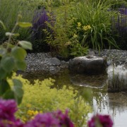 Gestaltungstrends Natur im Garten