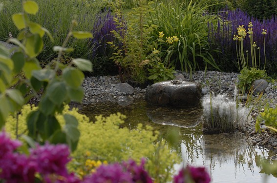 Gestaltungstrends Natur im Garten