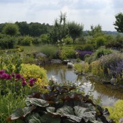 Gestaltungstrends Natur im Garten