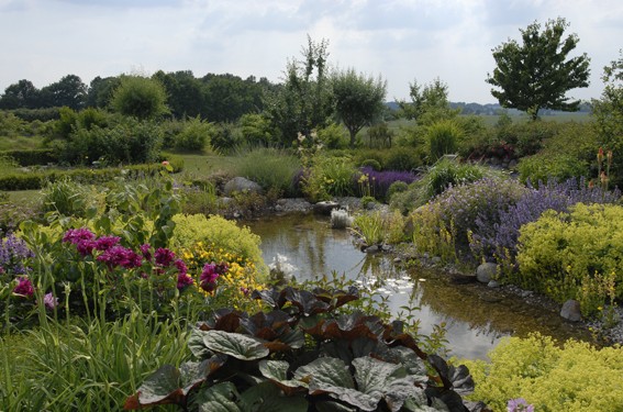 Gestaltungstrends Natur im Garten