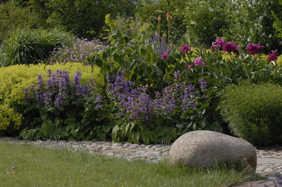 Kopfsteinpflasterung und Findlinge in mmoderner Gartengestaltung mit vielen sommerblühenden Stauden
