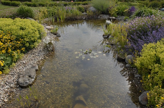 Bauerngarten mit ländlicher Idylle, Quellstein und Wasserspiele