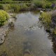 Bauerngarten mit ländlicher Idylle, Quellstein und Wasserspiele