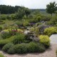 Gartenteich anlegen, naturnah und ästhetisch schön durch Gartenbau-Firma in Lüneburg und Uelzen