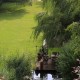 unverbaubarer Blick in die Landschaft in Lüneburg