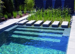 pool und grüne Filterzone kombiniert mit einem fertigen Becken von Rivierapool