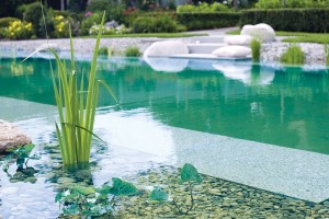 Schwimmteich mit klarem Wasser und biologischer Filterung