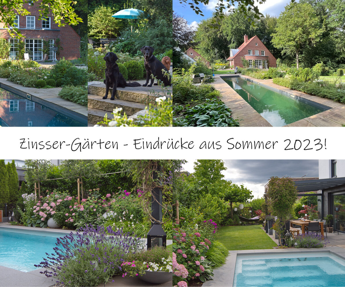 Fotoshooting in Zinsser-Gärten 2023