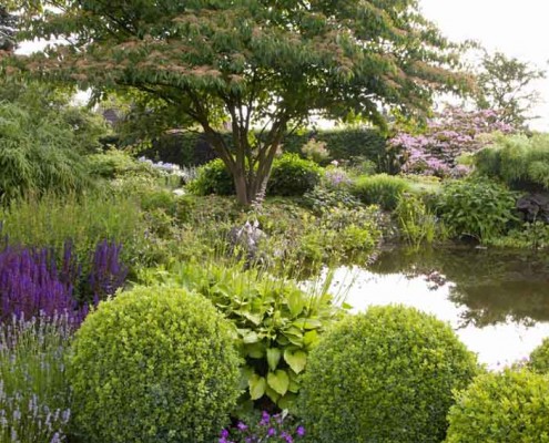 offene-gartenpforte-in-uelzen-und-westerweyhe-Naturfreunde-Garten (6)