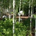 Der Garten im Winter muss nicht langweilig sein, mit Gräsern und Immergrünen bekommt er ein Rückgrat