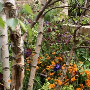 Als professioneller Landschaftsgärtner sind wir perfekt in der Gartenpflege