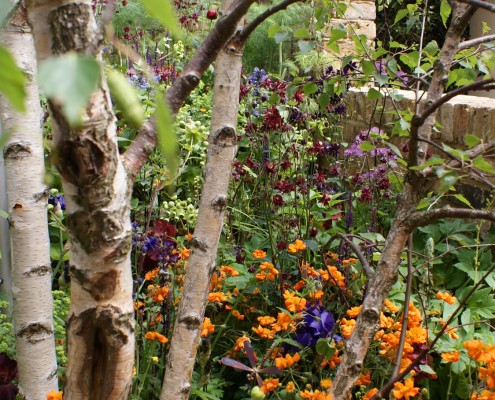 Als professioneller Landschaftsgärtner sind wir perfekt in der Gartenpflege