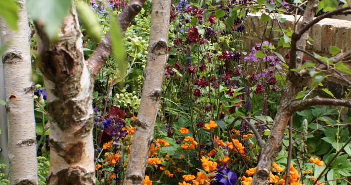 Als professioneller Landschaftsgärtner sind wir perfekt in der Gartenpflege