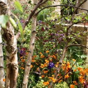 Als professioneller Landschaftsgärtner sind wir perfekt in der Gartenpflege